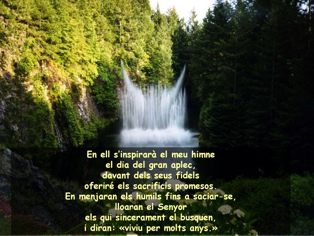 En ell s’inspirarà el meu himne el dia del gran aplec,