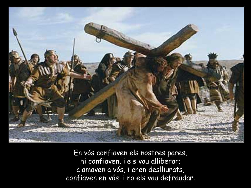 En vós confiaven els nostres pares, hi confiaven, i els vau alliberar;