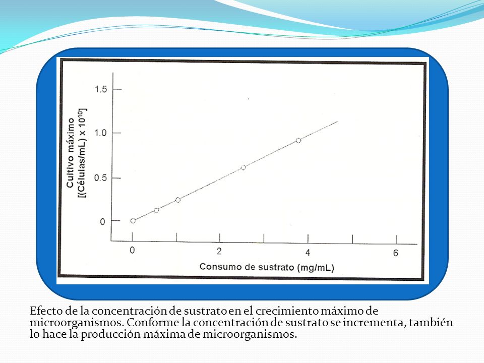 Efecto de la concentración de sustrato en el crecimiento máximo de microorganismos.