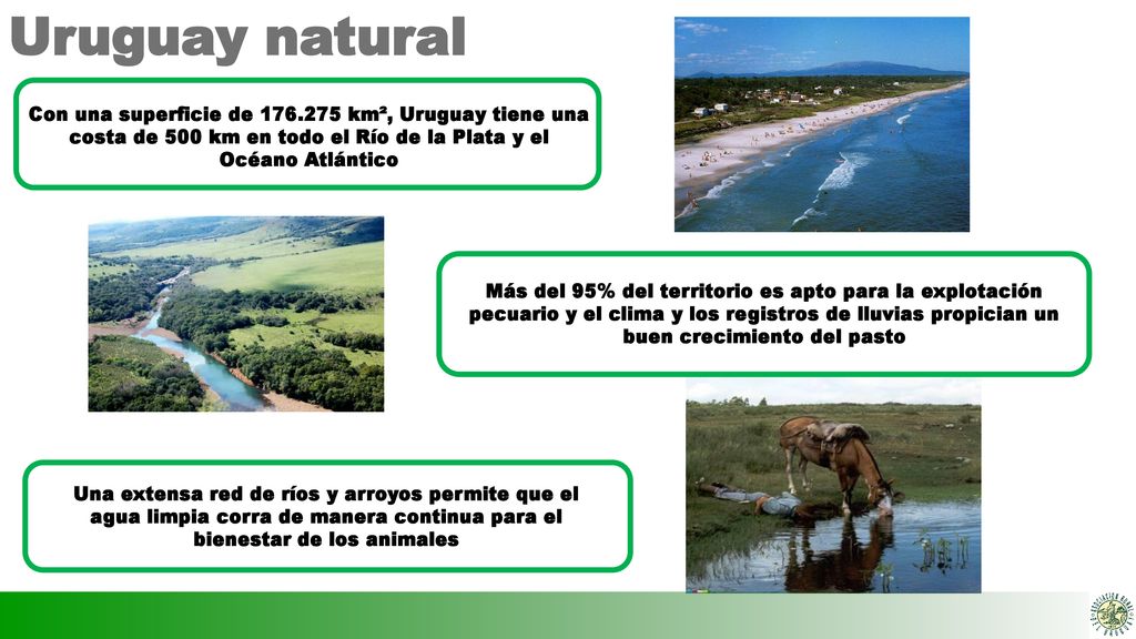 Uruguay natural Con una superficie de km², Uruguay tiene una costa de 500 km en todo el Río de la Plata y el Océano Atlántico.