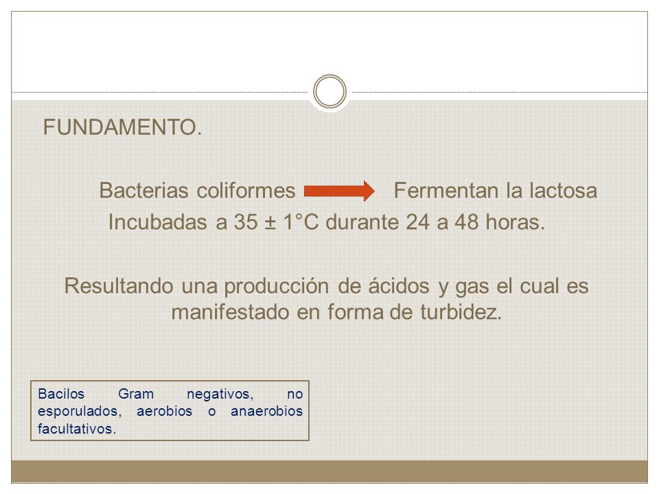 FUNDAMENTO. Bacterias coliformes Fermentan la lactosa Incubadas a 35 ± 1°C durante 24 a 48 horas. Resultando una producción de ácidos y gas el cual es manifestado en forma de turbidez.