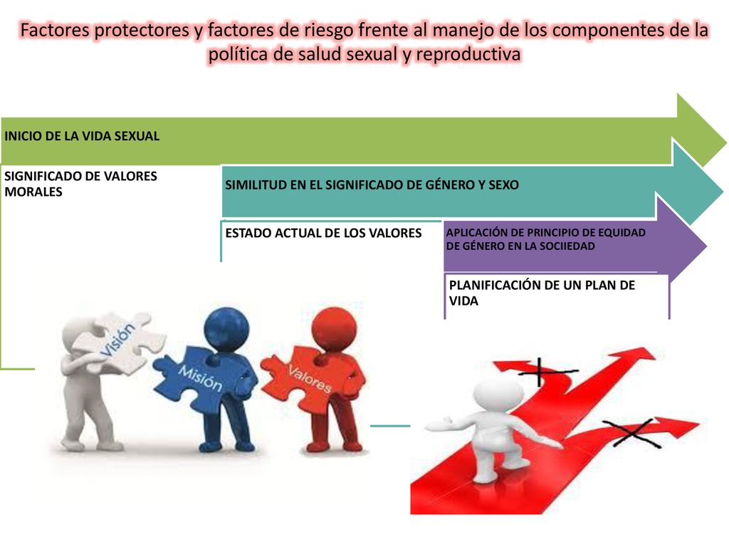 Factores protectores y factores de riesgo frente al manejo de los componentes de la política de salud sexual y reproductiva