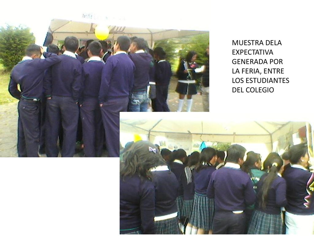MUESTRA DELA EXPECTATIVA GENERADA POR LA FERIA, ENTRE LOS ESTUDIANTES DEL COLEGIO