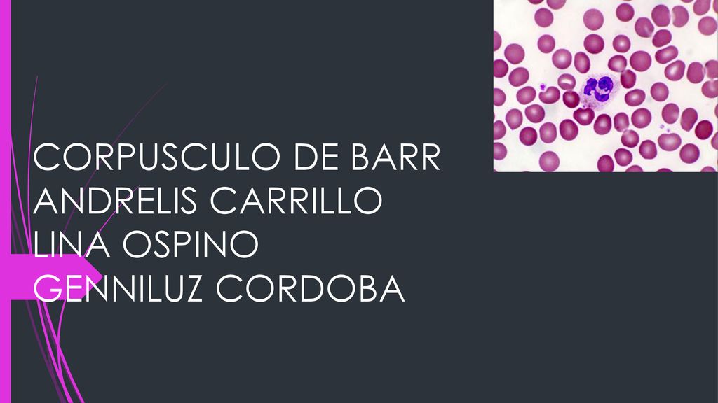 CORPUSCULO DE BARR ANDRELIS CARRILLO LINA OSPINO GENNILUZ CORDOBA