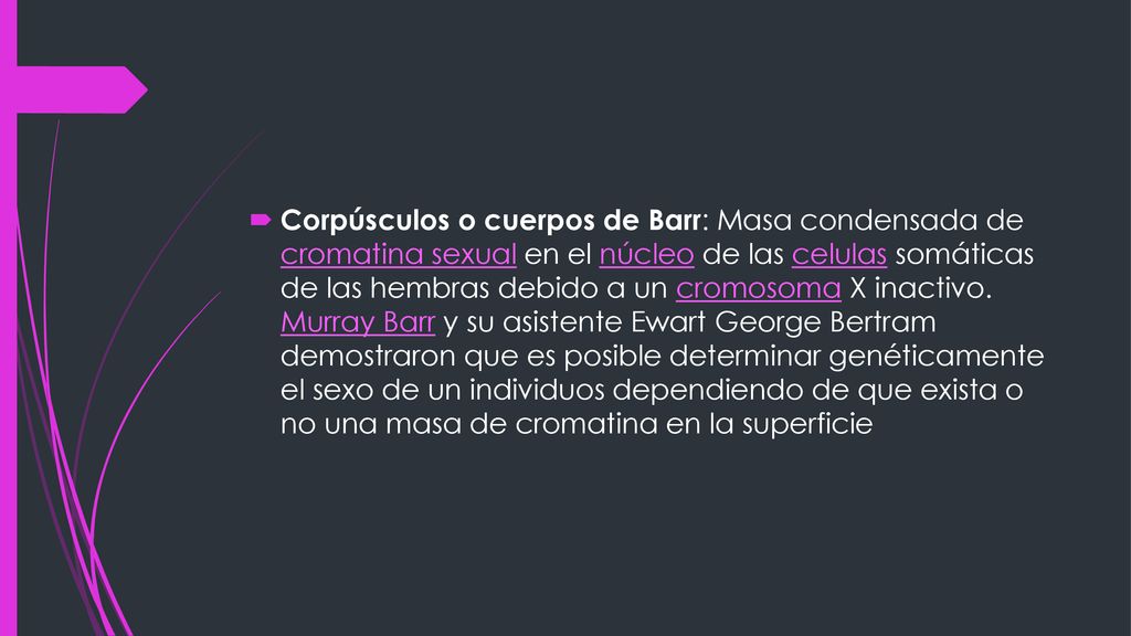 Corpúsculos o cuerpos de Barr: Masa condensada de cromatina sexual en el núcleo de las celulas somáticas de las hembras debido a un cromosoma X inactivo.