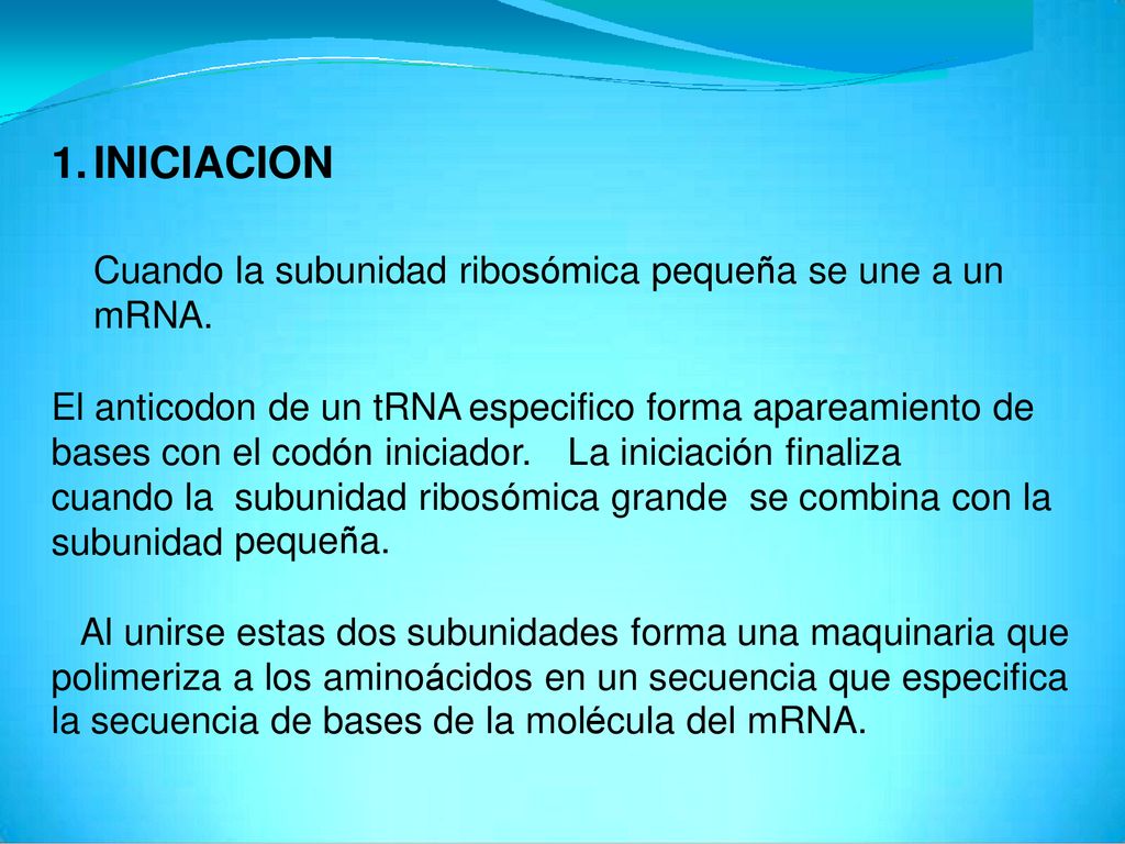 1. INICIACION Cuando la subunidad ribosómica pequeña se une a un mRNA.