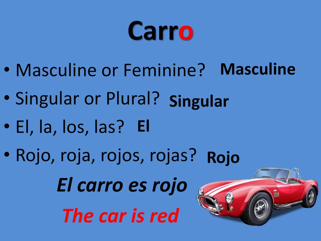 Carro El carro es rojo The car is red Masculine or Feminine