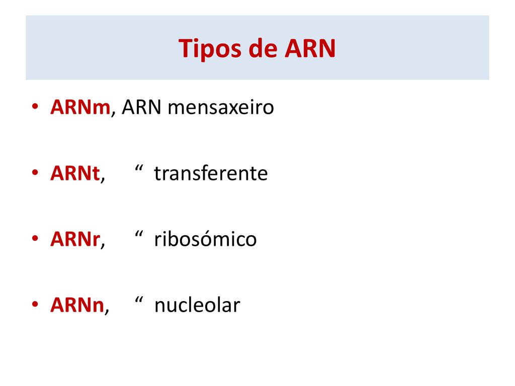 Tipos de ARN ARNm, ARN mensaxeiro ARNt, transferente