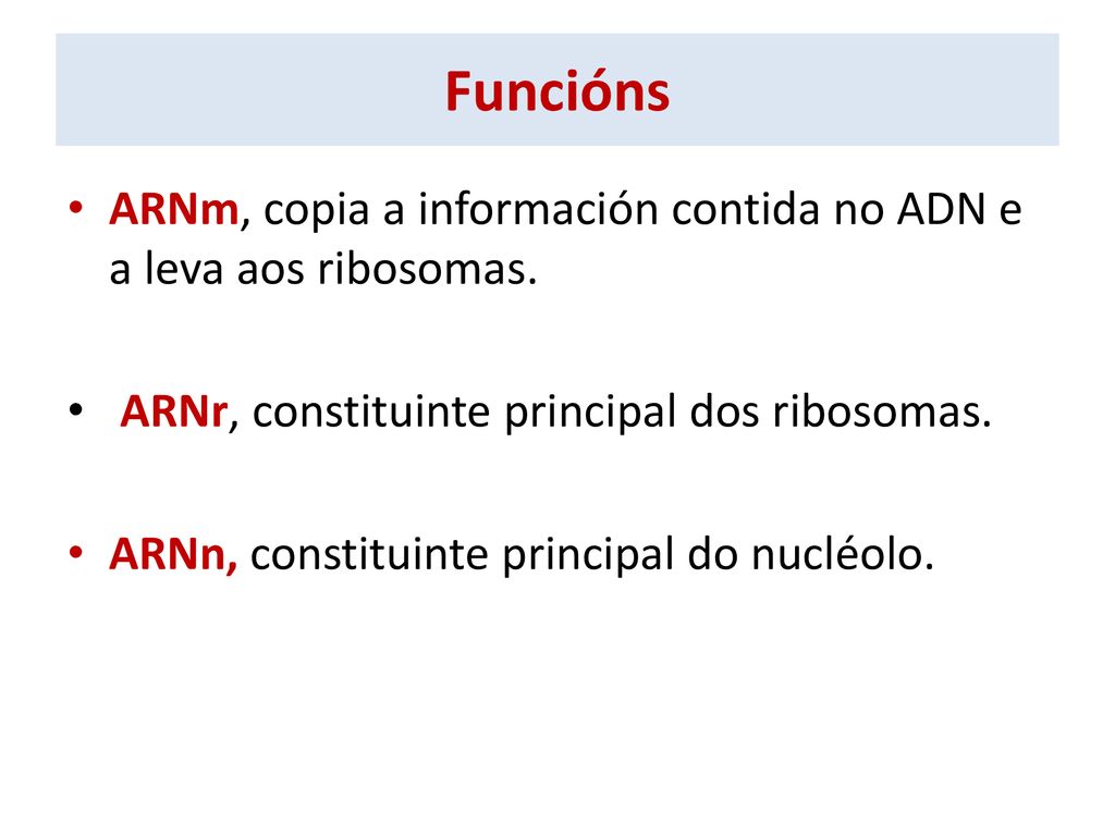 Funcións ARNm, copia a información contida no ADN e a leva aos ribosomas. ARNr, constituinte principal dos ribosomas.