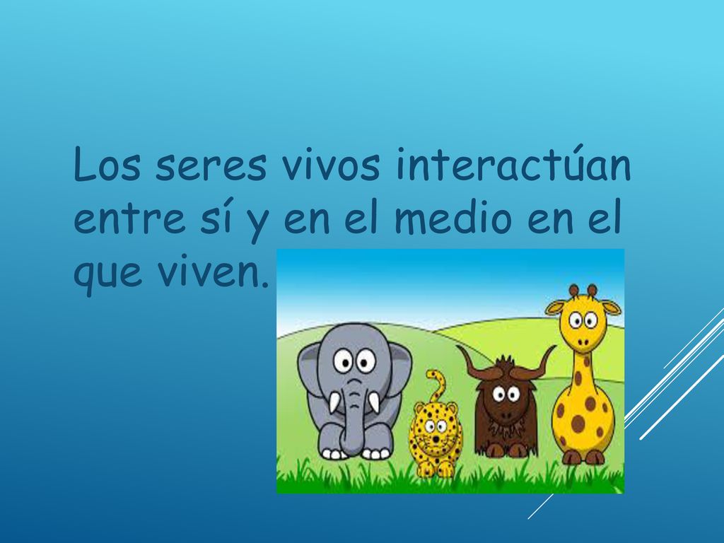 Los seres vivos interactúan entre sí y en el medio en el que viven.