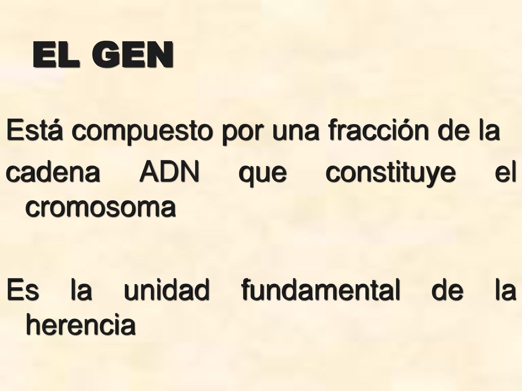 EL GEN Está compuesto por una fracción de la