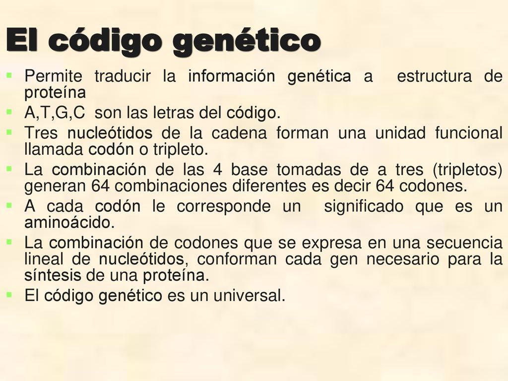 El código genético Permite traducir la información genética a estructura de proteína. A,T,G,C son las letras del código.