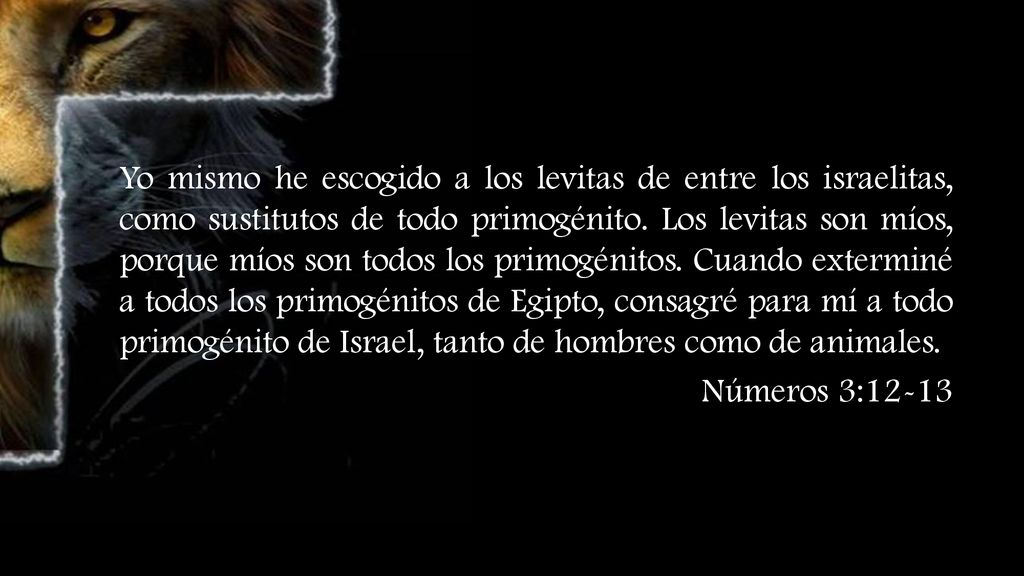 Yo mismo he escogido a los levitas de entre los israelitas, como sustitutos de todo primogénito.