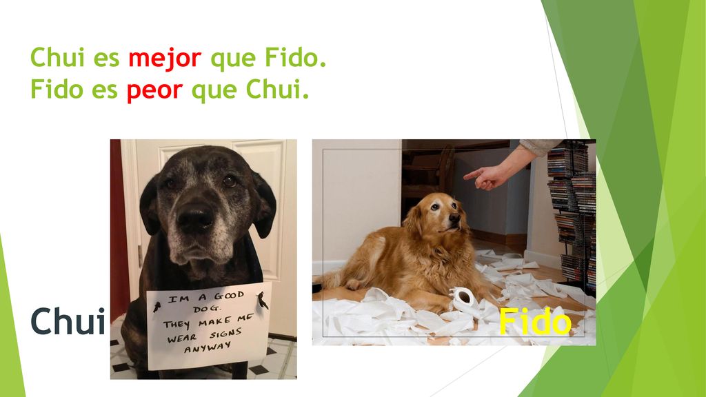 Chui es mejor que Fido. Fido es peor que Chui.