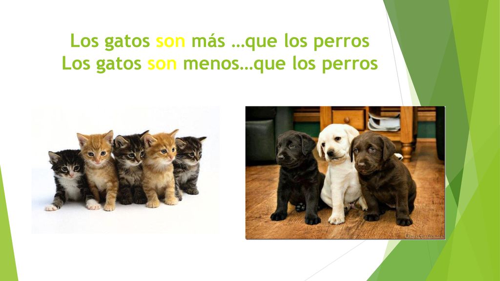 Los gatos son más …que los perros Los gatos son menos…que los perros