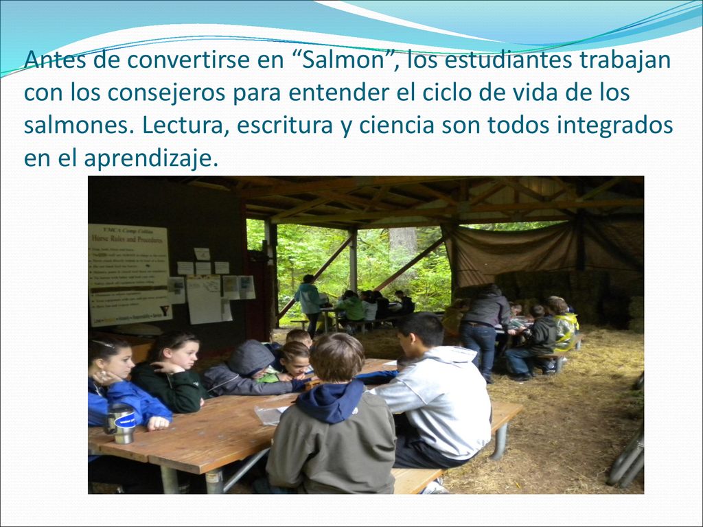 Antes de convertirse en Salmon , los estudiantes trabajan con los consejeros para entender el ciclo de vida de los salmones.