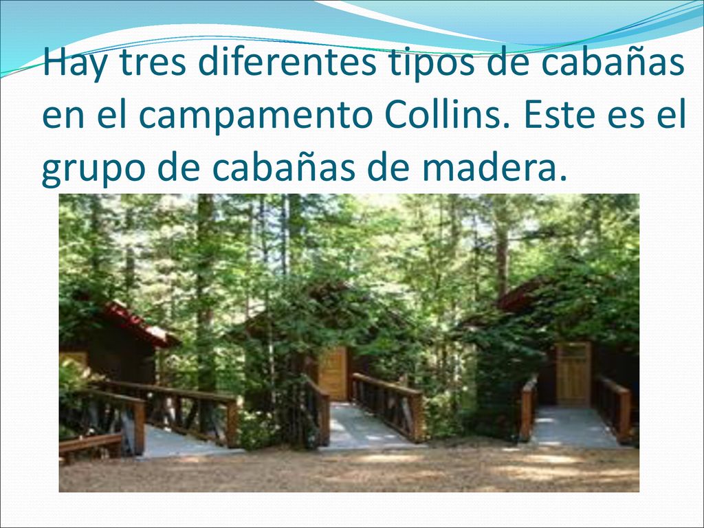 Hay tres diferentes tipos de cabañas en el campamento Collins