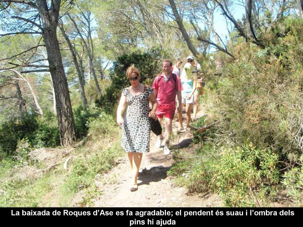La baixada de Roques d’Ase es fa agradable; el pendent és suau i l’ombra dels pins hi ajuda