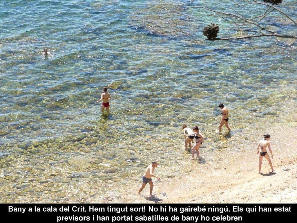 Bany a la cala del Crit. Hem tingut sort. No hi ha gairebé ningú