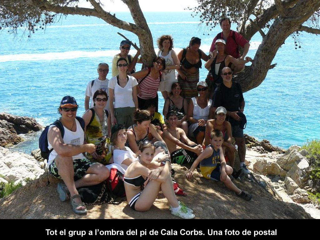 Tot el grup a l’ombra del pi de Cala Corbs. Una foto de postal
