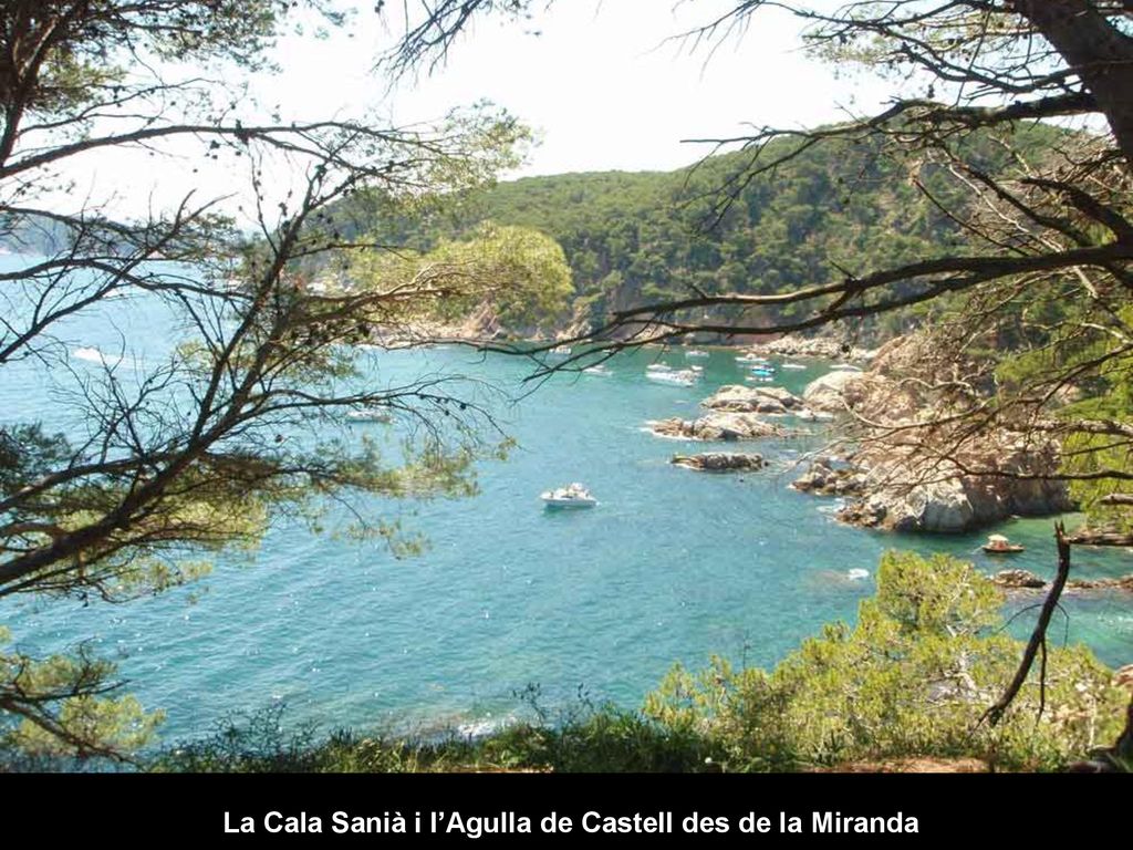 La Cala Sanià i l’Agulla de Castell des de la Miranda