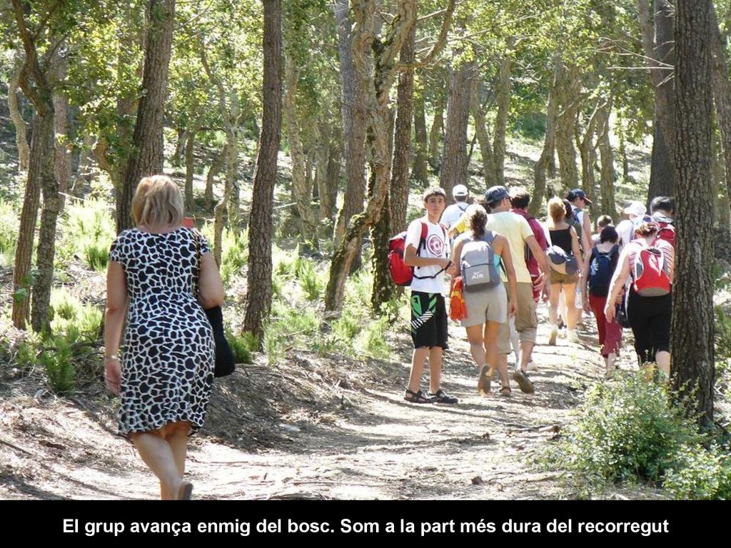 El grup avança enmig del bosc. Som a la part més dura del recorregut