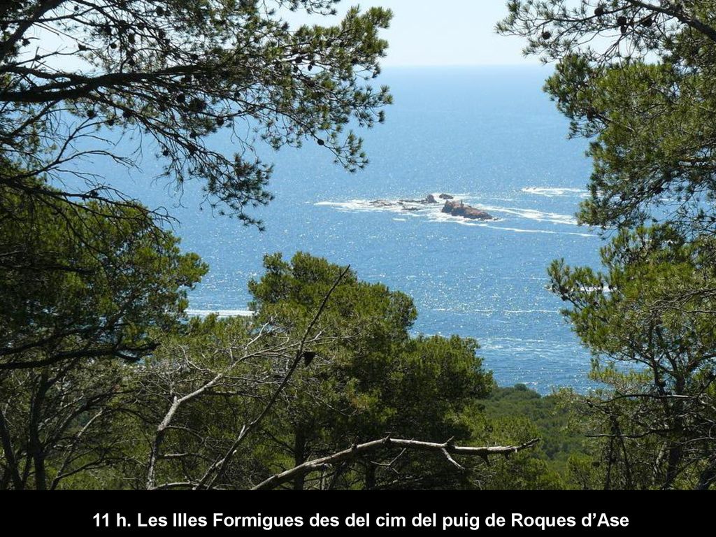 11 h. Les Illes Formigues des del cim del puig de Roques d’Ase