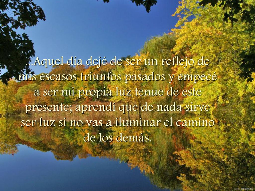 ...Aquel día dejé de ser un reflejo de mis escasos triunfos pasados y empecé a ser mi propia luz tenue de este presente; aprendí que de nada sirve ser luz si no vas a iluminar el camino de los demás.