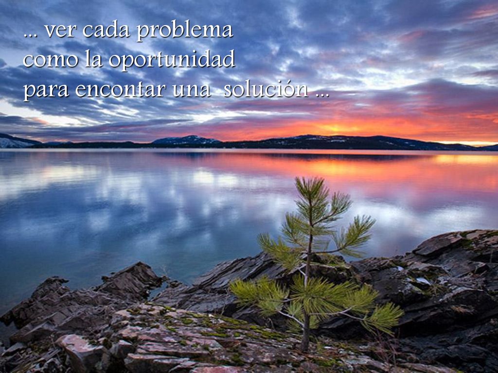 ... ver cada problema como la oportunidad para encontar una solución ...