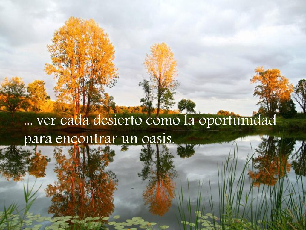 ... ver cada desierto como la oportunidad para encontrar un oasis.
