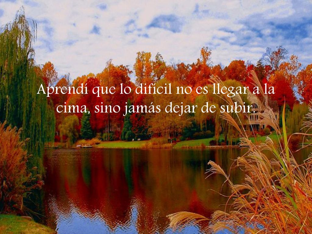 Aprendí que lo difícil no es llegar a la cima, sino jamás dejar de subir.