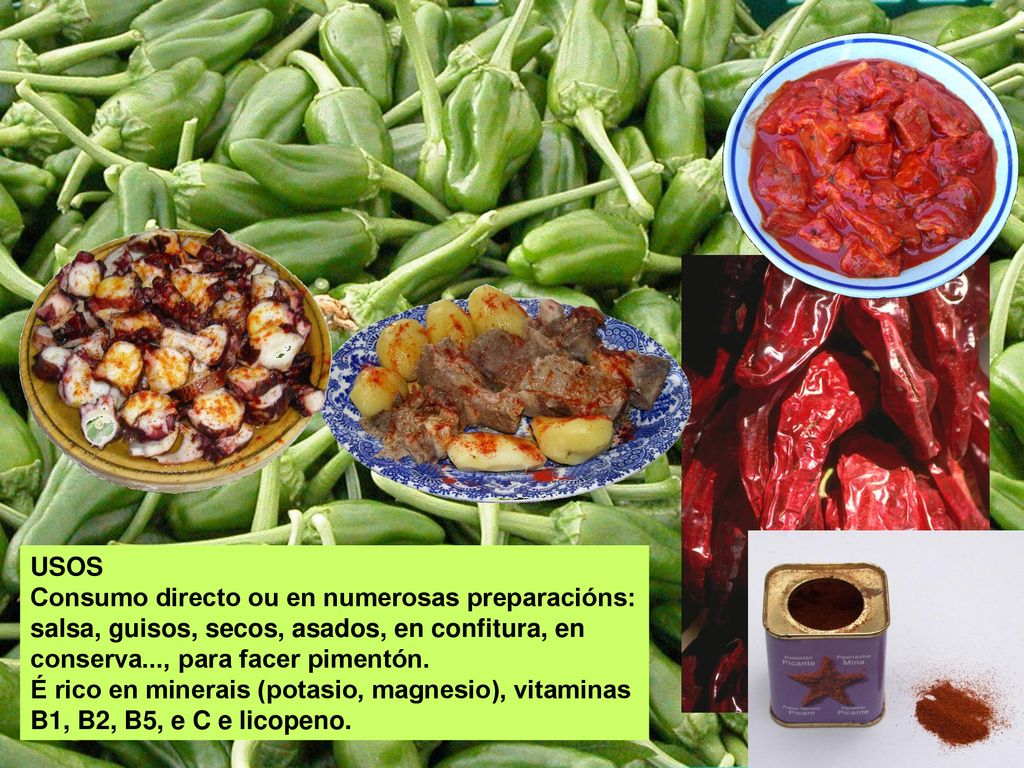 USOS Consumo directo ou en numerosas preparacións: salsa, guisos, secos, asados, en confitura, en conserva..., para facer pimentón.