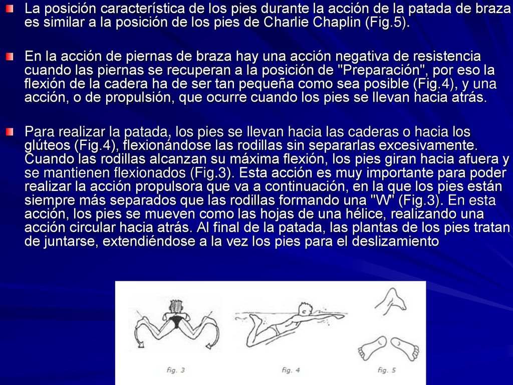 La posición característica de los pies durante la acción de la patada de braza es similar a la posición de los pies de Charlie Chaplin (Fig.5).