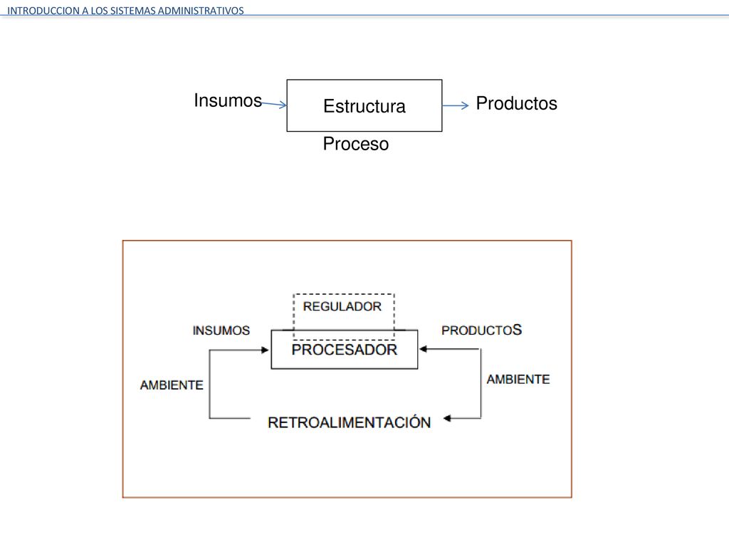 Insumos Estructura Productos Proceso