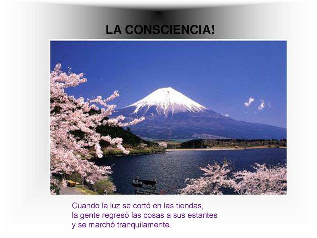 LA CONSCIENCIA! Cuando la luz se cortó en las tiendas,