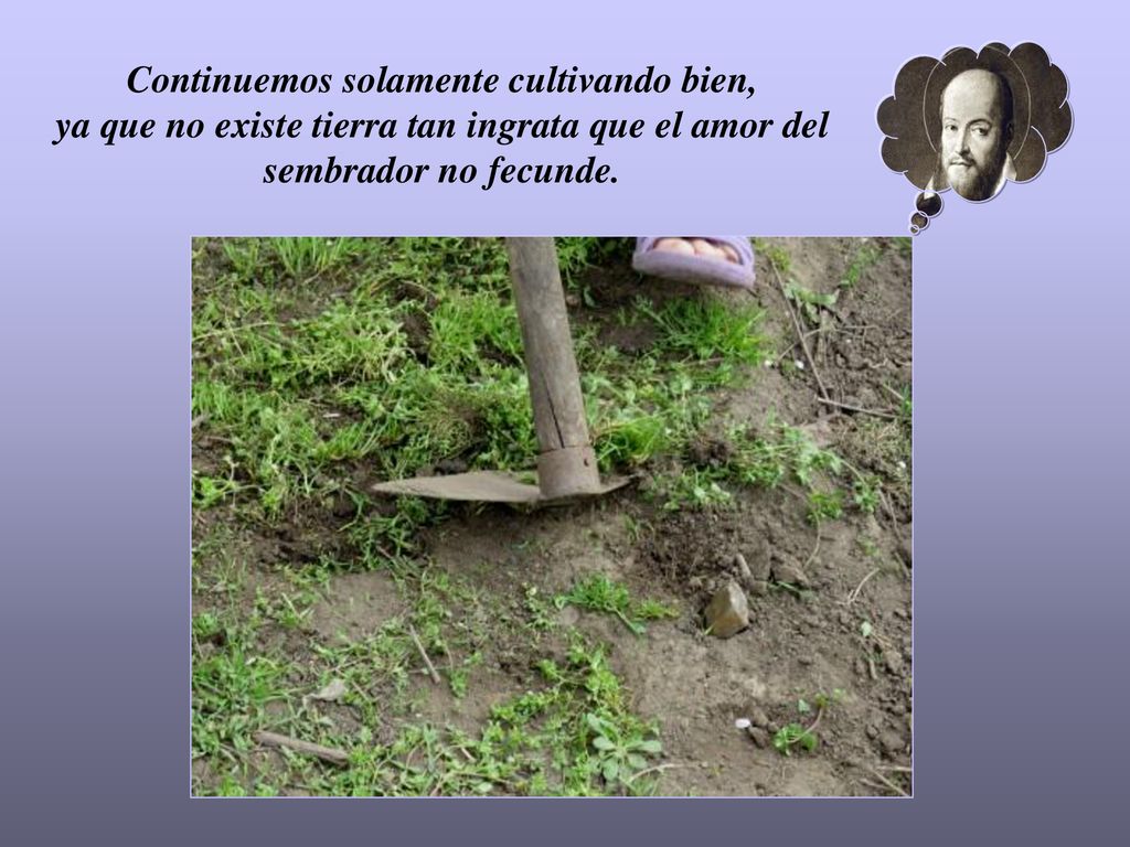 Continuemos solamente cultivando bien, ya que no existe tierra tan ingrata que el amor del sembrador no fecunde.