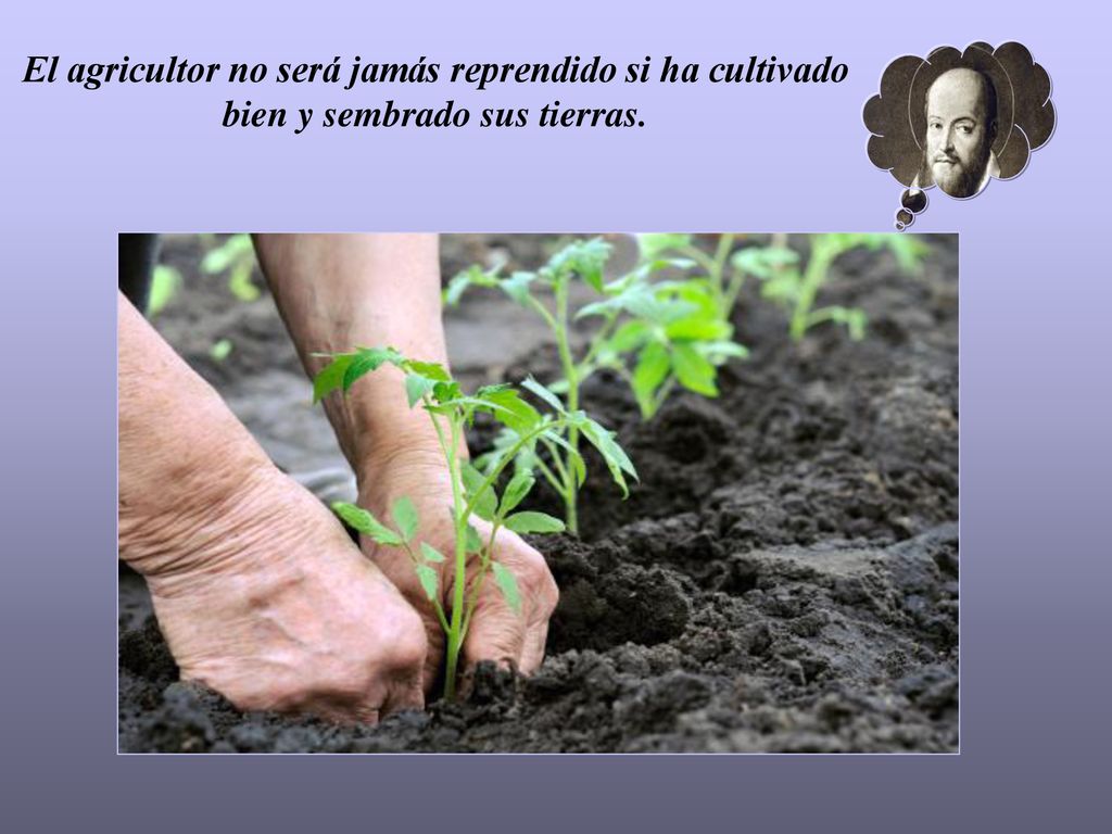El agricultor no será jamás reprendido si ha cultivado bien y sembrado sus tierras.