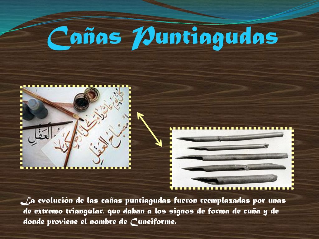 Cañas Puntiagudas La evolución de las cañas puntiagudas fueron reemplazadas por unas.
