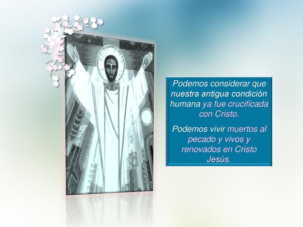 Podemos vivir muertos al pecado y vivos y renovados en Cristo Jesús.