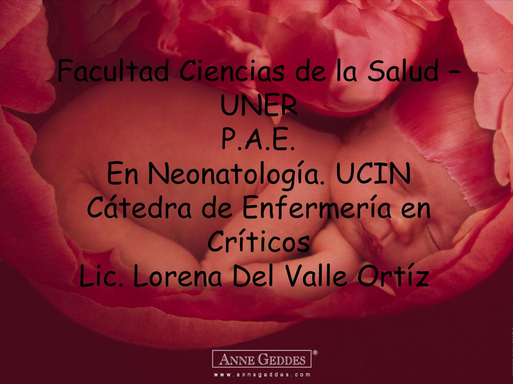 Facultad Ciencias de la Salud – UNER P.A.E. En Neonatología. UCIN