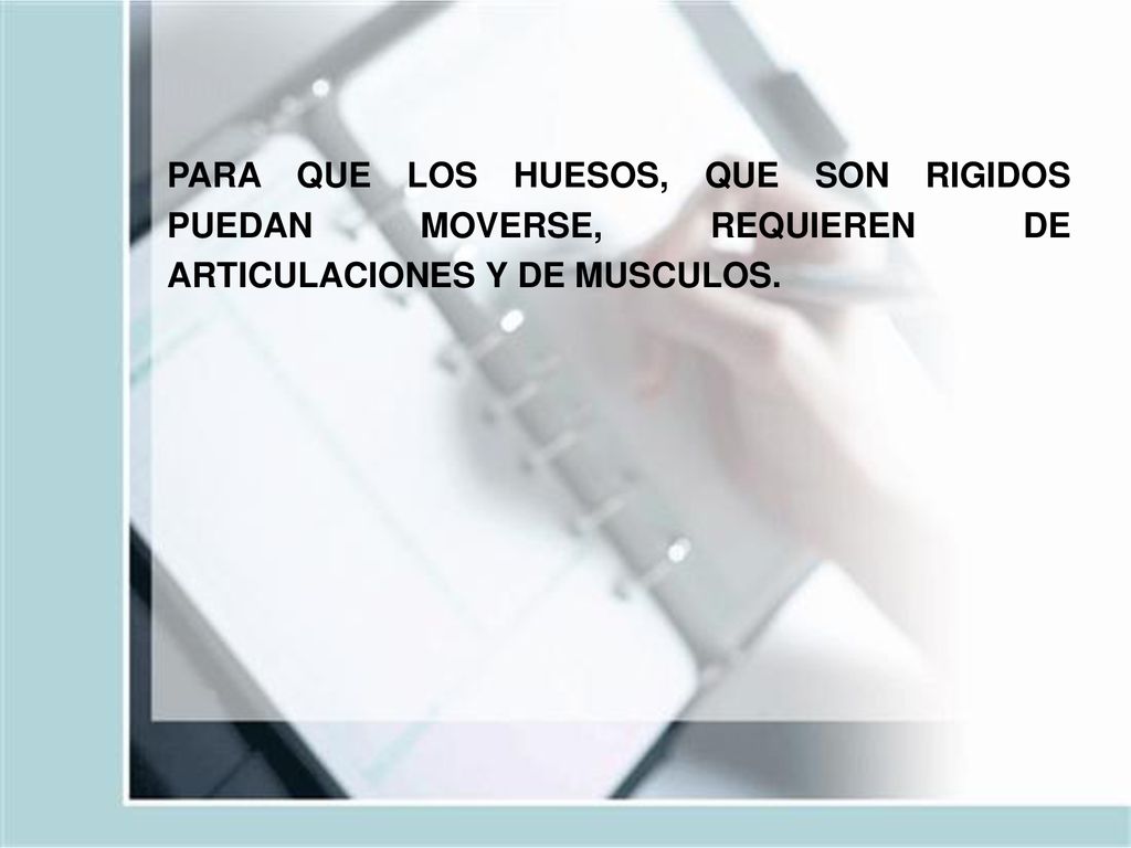 PARA QUE LOS HUESOS, QUE SON RIGIDOS PUEDAN MOVERSE, REQUIEREN DE ARTICULACIONES Y DE MUSCULOS.