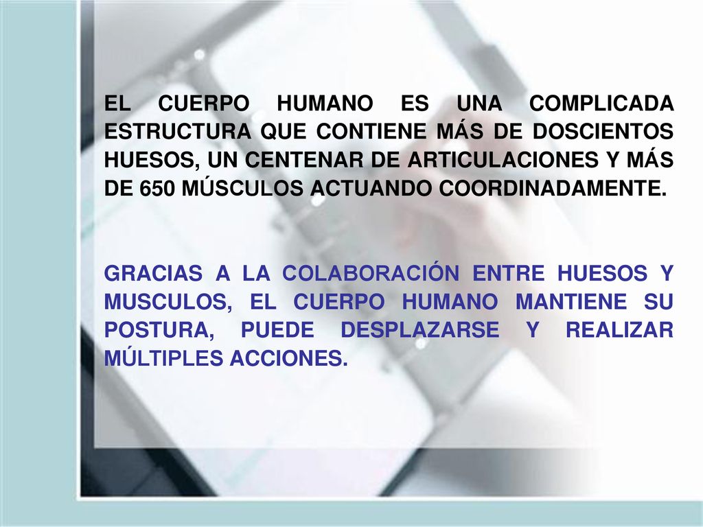 EL CUERPO HUMANO ES UNA COMPLICADA ESTRUCTURA QUE CONTIENE MÁS DE DOSCIENTOS HUESOS, UN CENTENAR DE ARTICULACIONES Y MÁS DE 650 MÚSCULOS ACTUANDO COORDINADAMENTE.