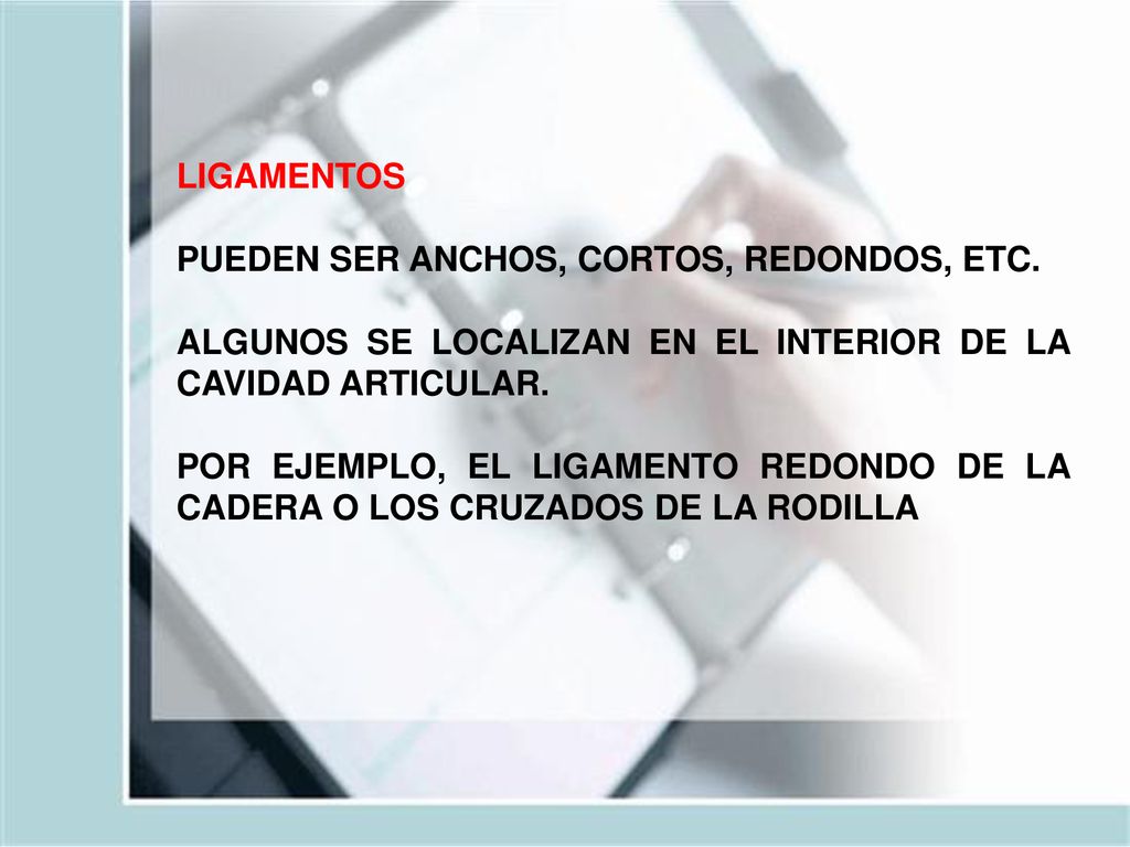 LIGAMENTOS PUEDEN SER ANCHOS, CORTOS, REDONDOS, ETC. ALGUNOS SE LOCALIZAN EN EL INTERIOR DE LA CAVIDAD ARTICULAR.