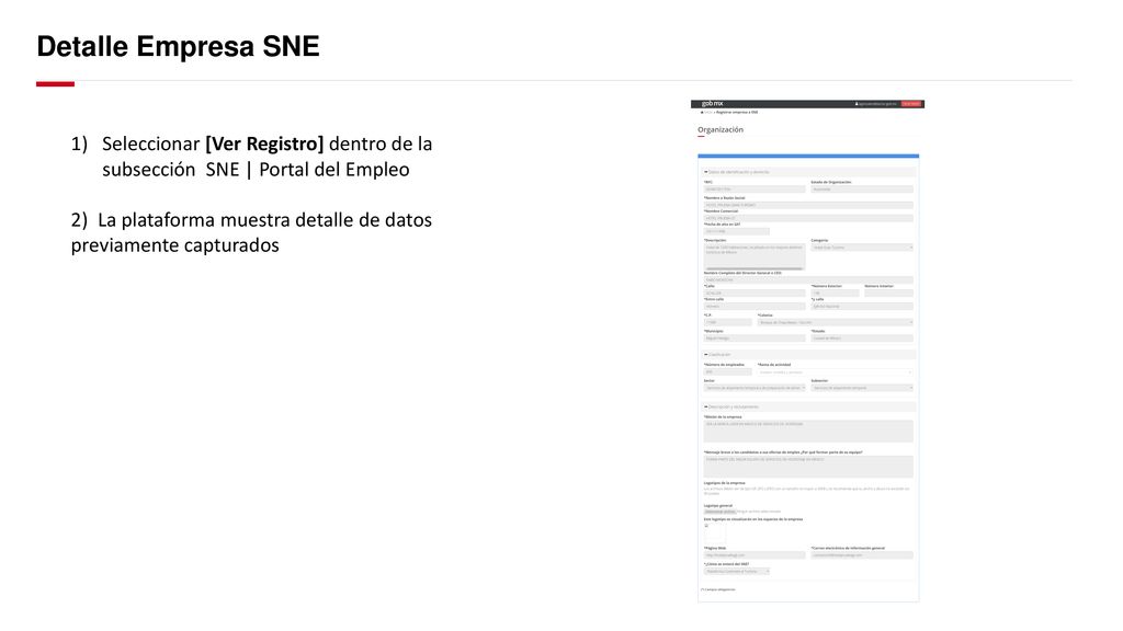 Detalle Empresa SNE Seleccionar [Ver Registro] dentro de la subsección SNE | Portal del Empleo.