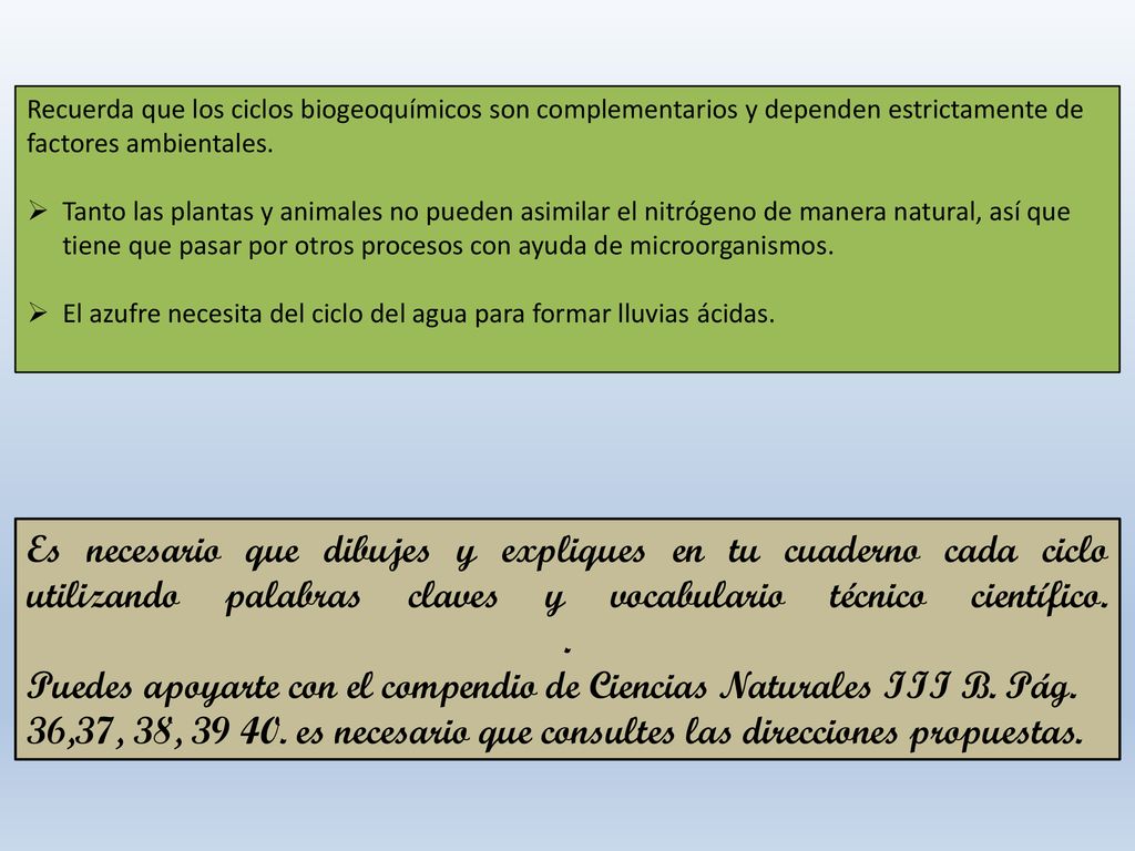 Recuerda que los ciclos biogeoquímicos son complementarios y dependen estrictamente de factores ambientales.