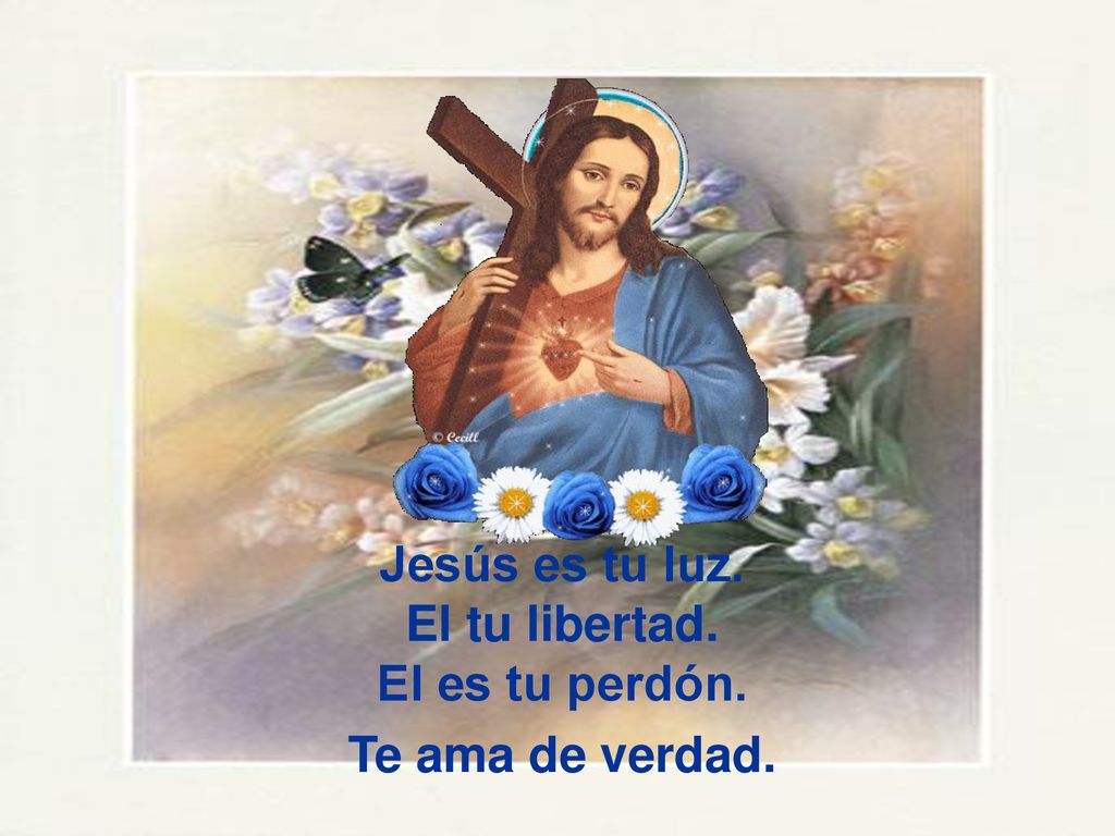 Jesús es tu luz. El tu libertad. El es tu perdón. Te ama de verdad.