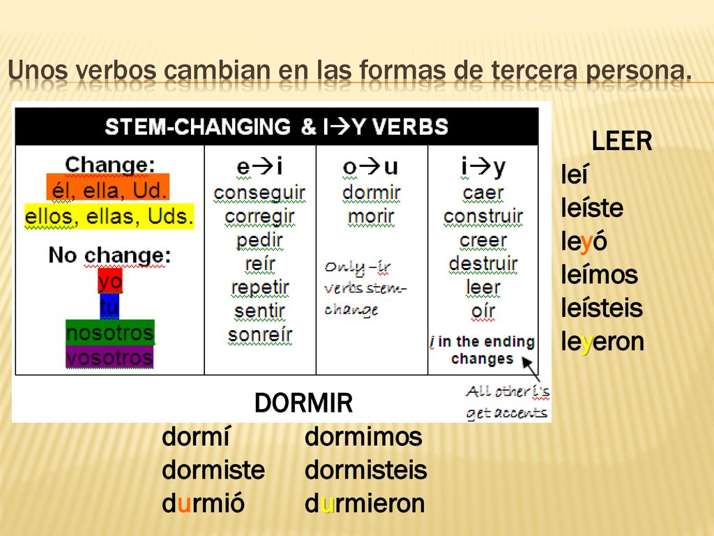 Unos verbos cambian en las formas de tercera persona.