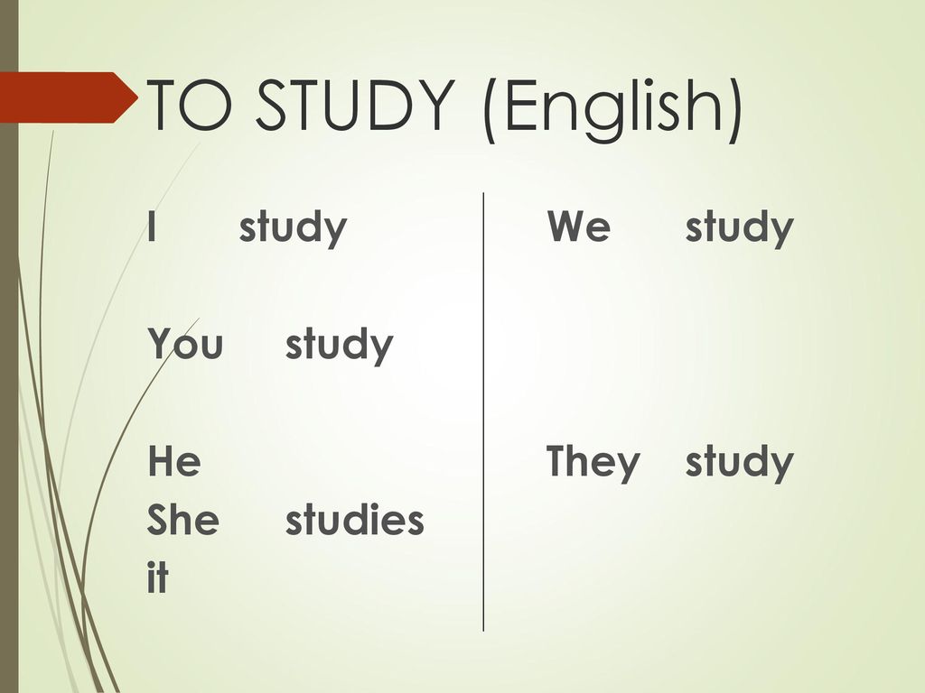 TO STUDY (English) I study You study He She studies it