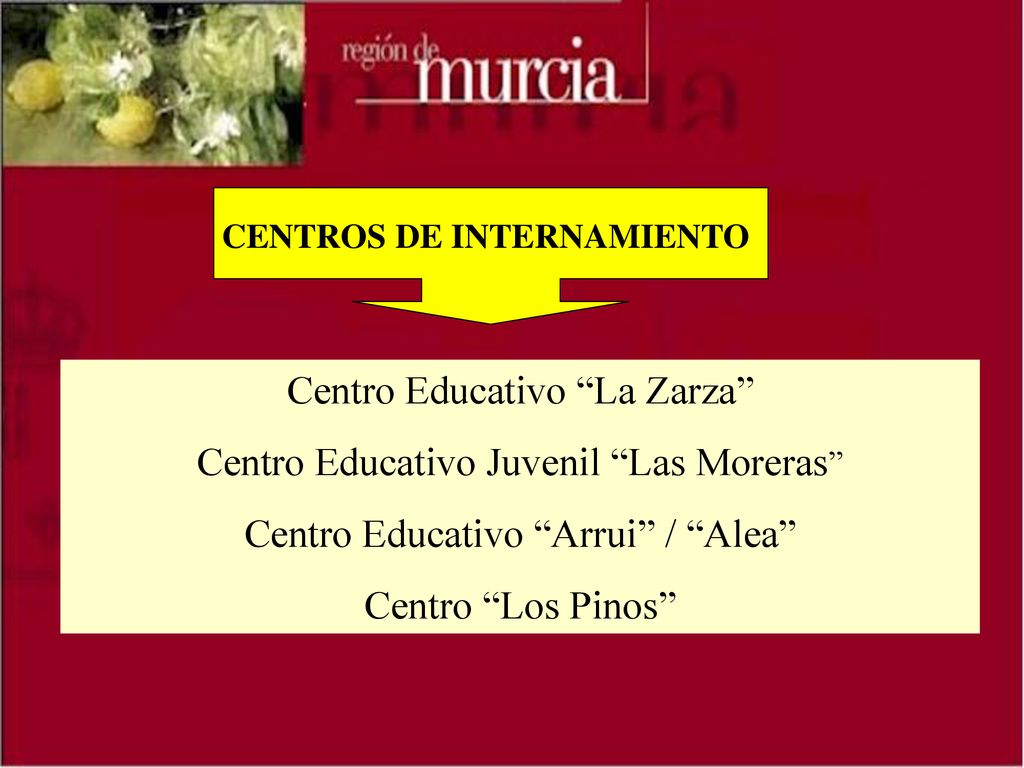 Centro Educativo La Zarza Centro Educativo Juvenil Las Moreras