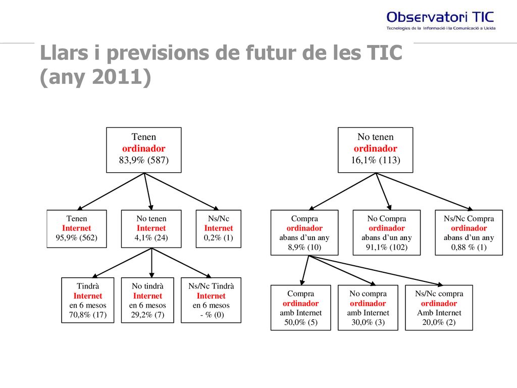 Llars i previsions de futur de les TIC (any 2011)
